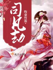 司凡劫结局
