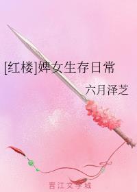 红楼婢女生存日常六月泽芝
