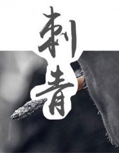 苏扬叶慧云的免费