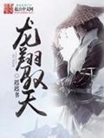 龙翔天宇全集