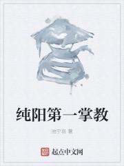 纯阳第一掌教等级划分