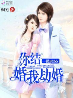 你结婚我劫婚阅读