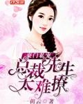 豪门罪爱总裁先生难招架全文阅读