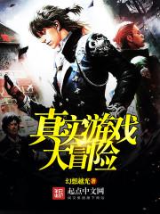 大冒险游戏是