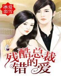 女总裁的错爱人生电视剧