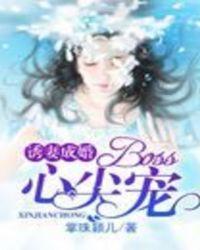 boss你好坏