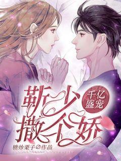 千亿宝宝盛少宠妻成瘾全文免费阅读