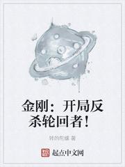 金刚开局反杀轮回者! 转的陀螺