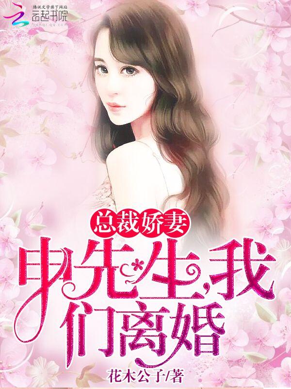 总裁娇妻申先生我们离婚