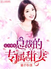 亿万豪宠总裁的专属甜妻有几对cp