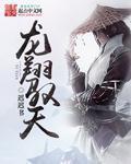 有一部主角叫龙翔天