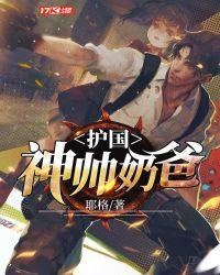 护国神帅等级划分