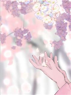女主夏挽沅