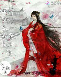傲世九天重天