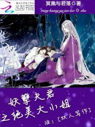 妖孽夫君之夫君皆妖