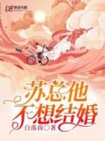 总裁苏不苏