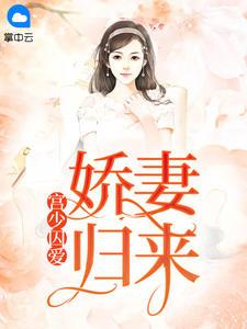 宫少宠妻太凶猛全文