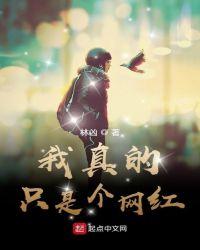 我真的只是个网红txt