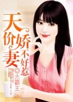 天价娇妻老婆别想逃免费阅读