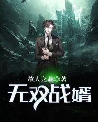 笔趣阁 无双战婿