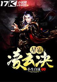 凌云星耀价格