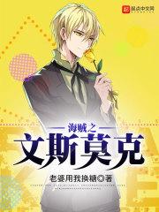 海贼之文斯莫克伽治