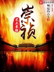 史上最强崇祯txt奇书网