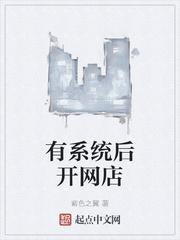 开网店用什么系统