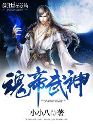 魂帝武神等级划分