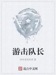 游击队队长级别
