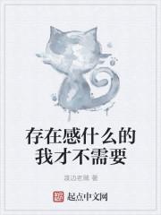 不需要刷存在感