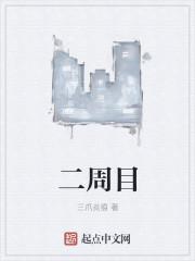 口袋妖怪究极绿宝石5.5二周目攻略