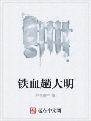 大明铁血1625