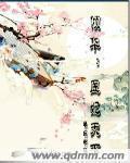 倾华医妃天下txt