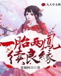 一胎双凤免费