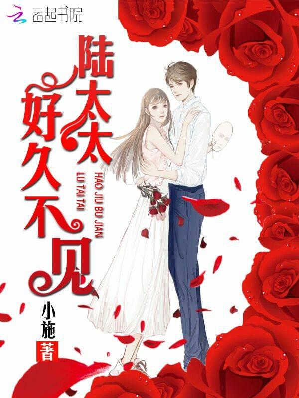陆太太好久不见易婉琪