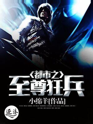都市之至尊狂兵叶辰