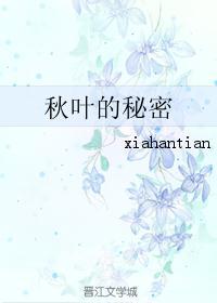 秋叶的秘密教案大班