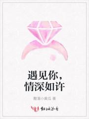 遇见你情深难知错顾司钧秦洛