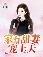 家有甜妻宠上天陆辰修