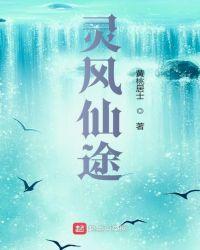 灵风仙途断更