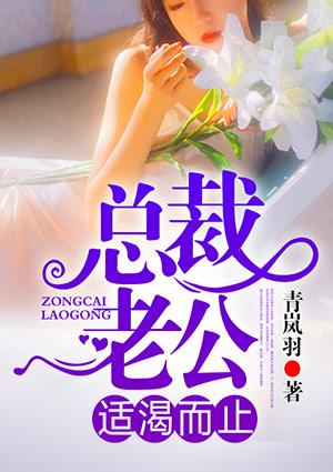 总裁老公适可止陆晚安