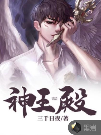 神王殿看300集