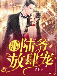 洛晚陆寒川最新章节免费阅读大结局