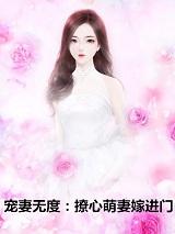 沐澄陆瑾庭免费阅读