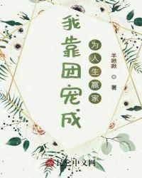 我靠团宠成为人生赢家 羊啾啾