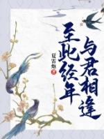 至此经年与君相逢第15章