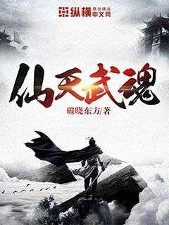 仙武魂境界划分