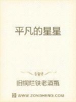 平凡的星星作文400字