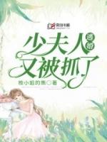 顾少夫人又逃婚了29